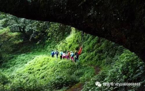 隐藏的金色星星